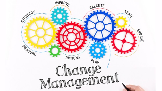 Change Management: Strategies, Process, and Leadership Tips